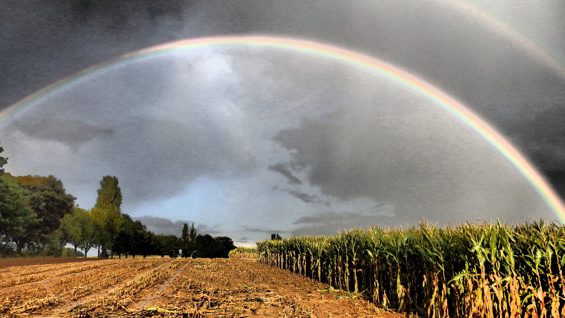 Doppelter Regenbogen