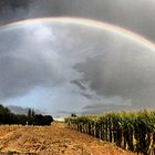 Doppelter Regenbogen