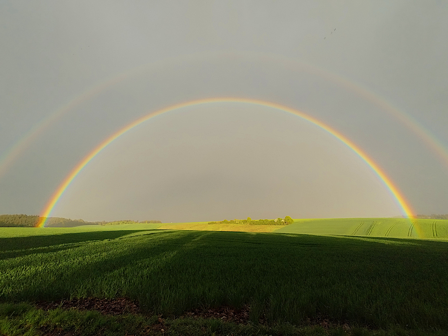 Doppelter Regenbogen