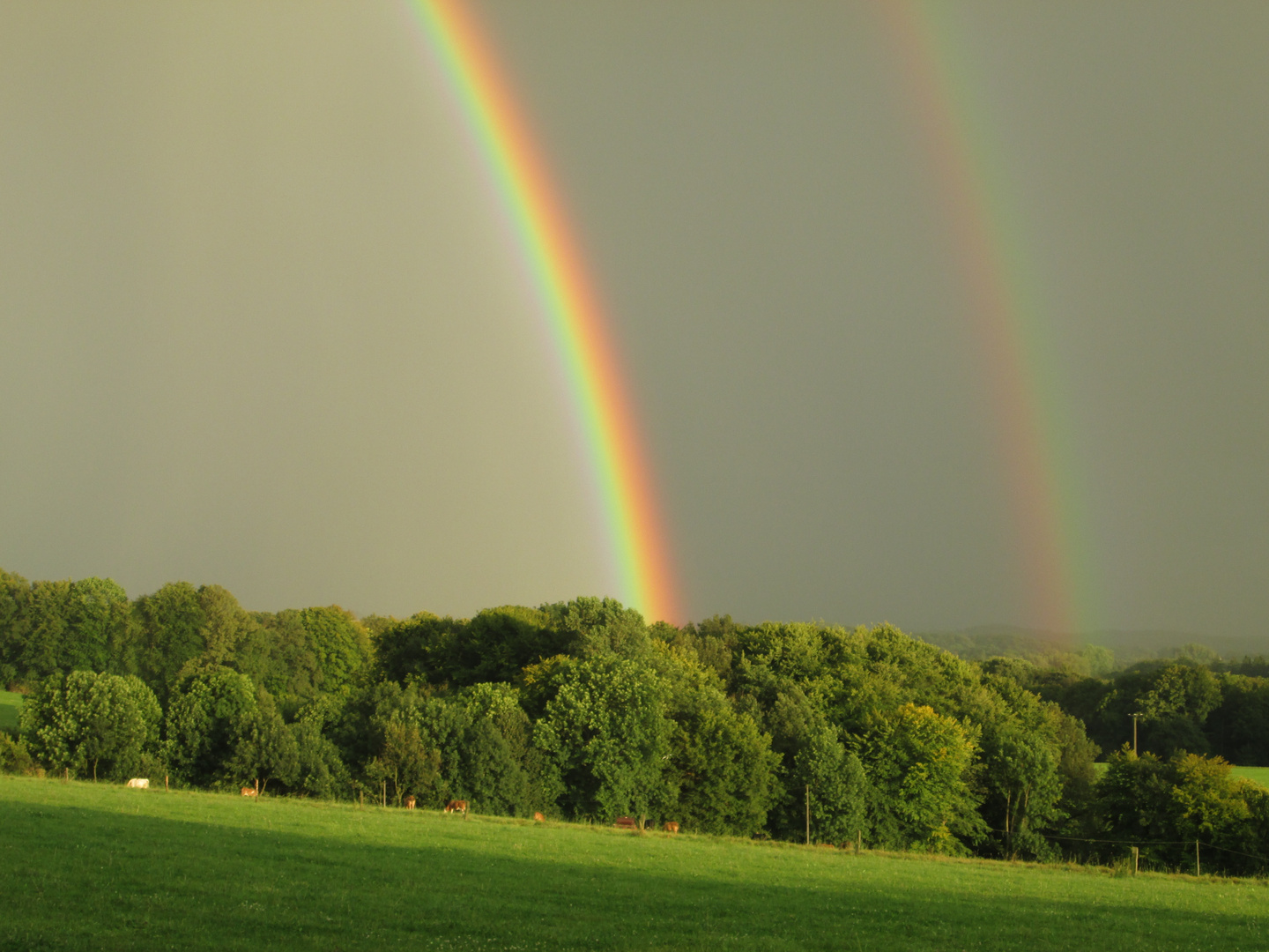 doppelter Regenbogen über Voiswinkel