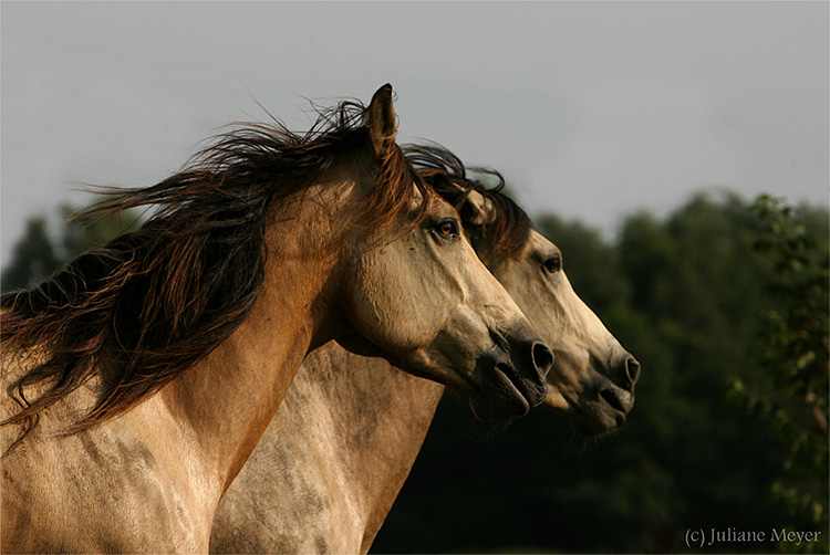 Doppeltes Lottchen ;-)