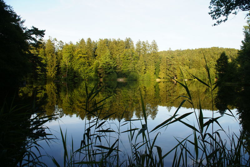 doppeltes Vergnügen