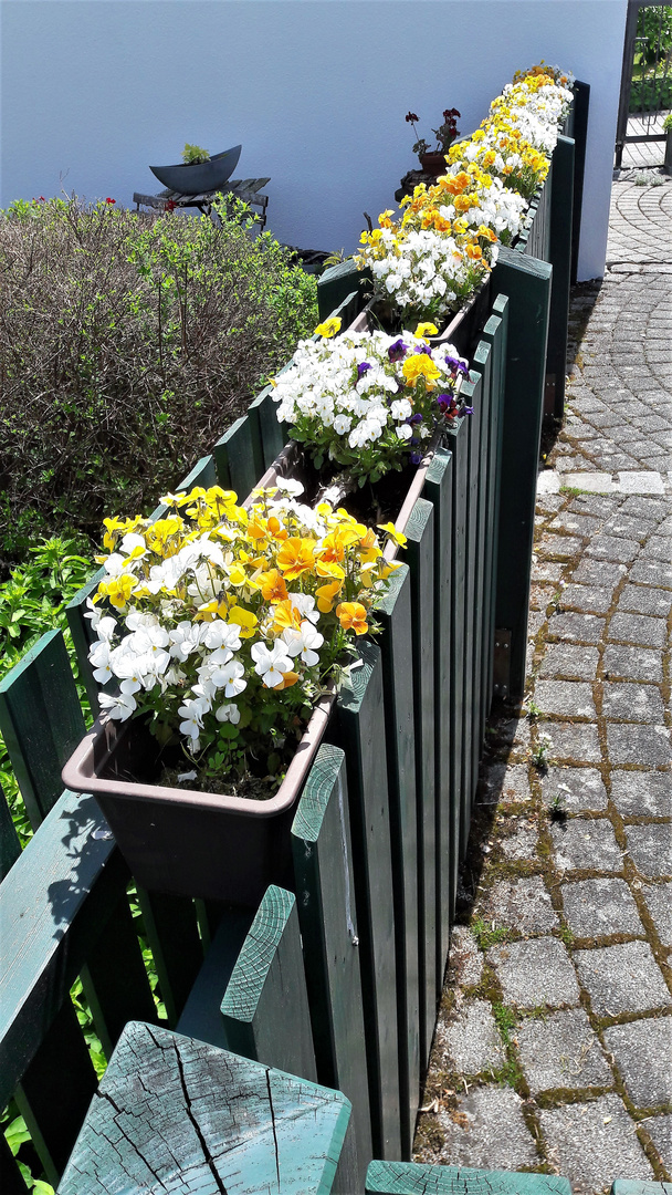 Doppelzaun für Blumenkästen