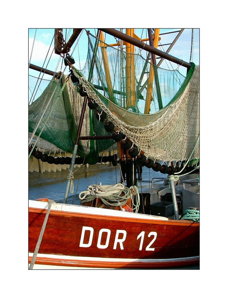 DOR 12