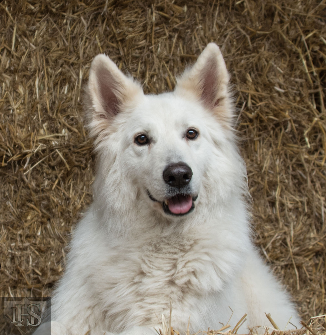 Dora portrait Berger Suisse