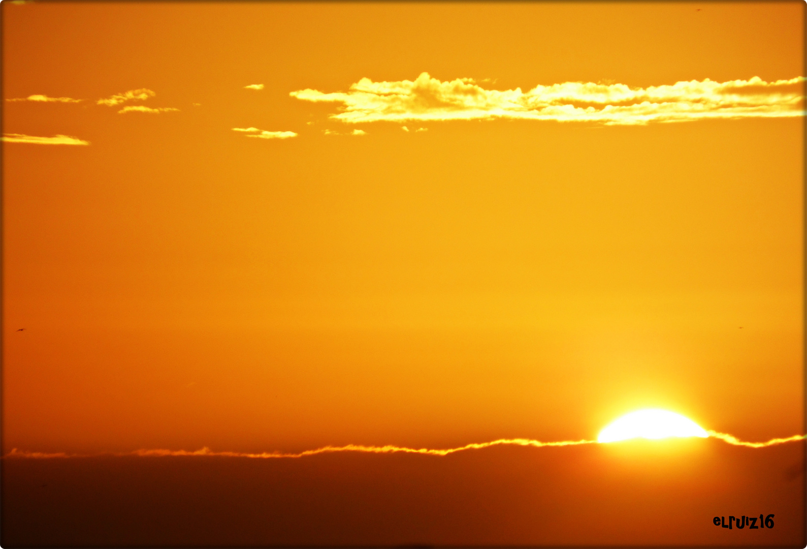 Dorado Atardecer...