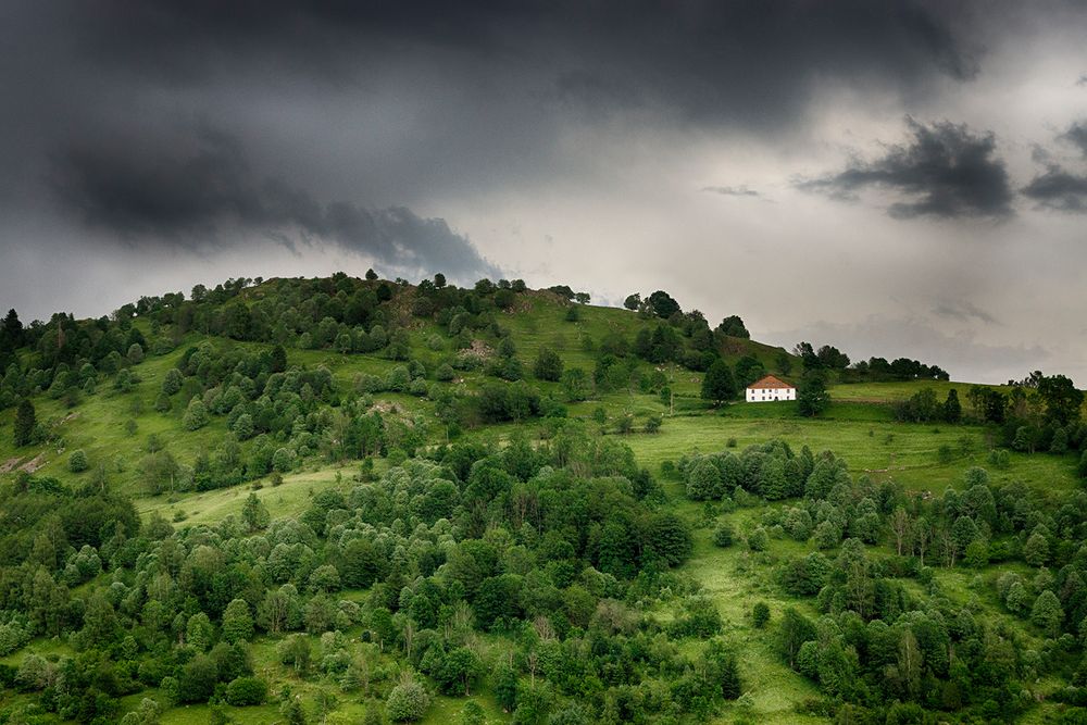 D'orage et de vert