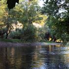 Dordogne