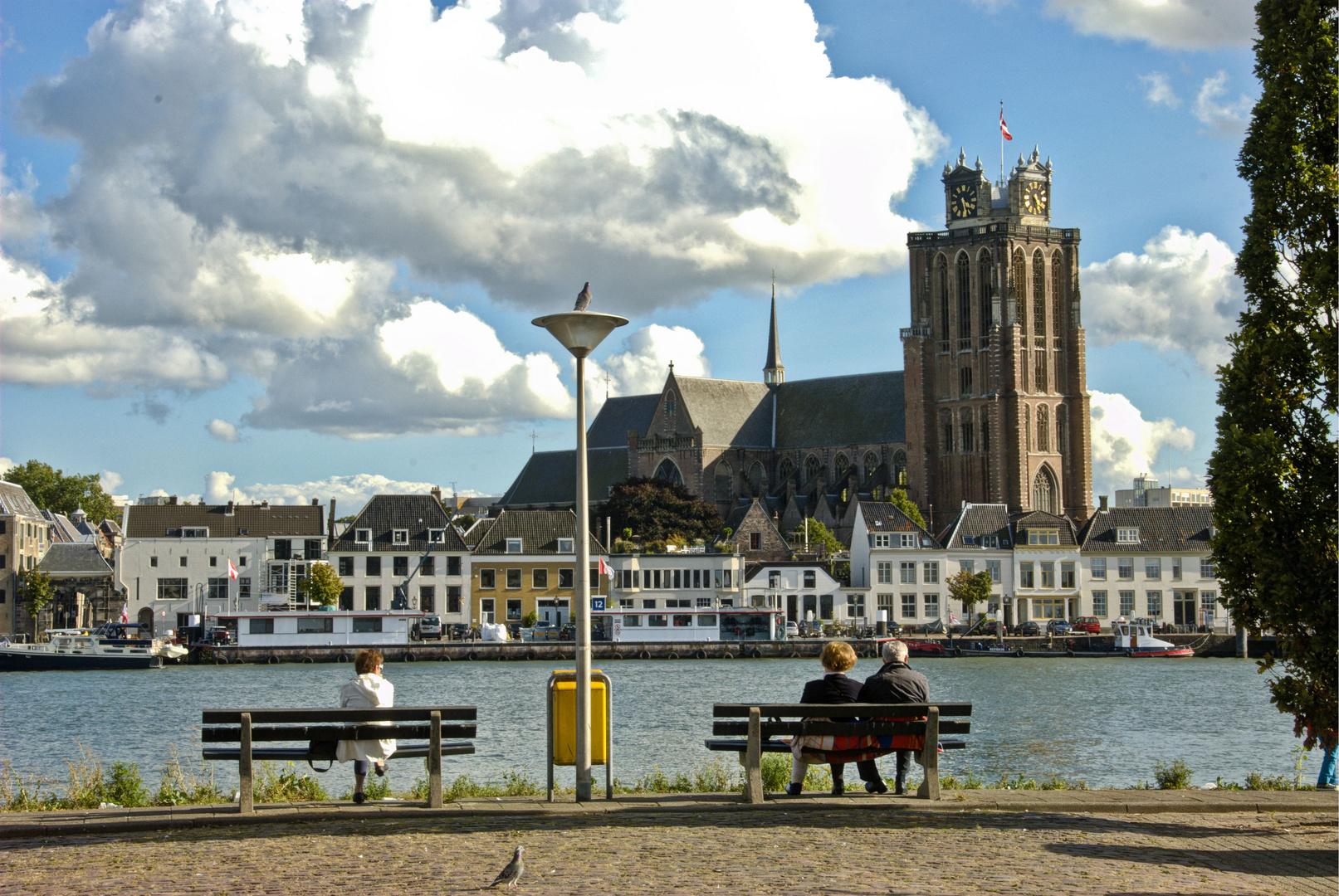 Dordrecht - View on Grote Kerk Seen From Oude Maas River Bank - Side Zwijndrecht - 09