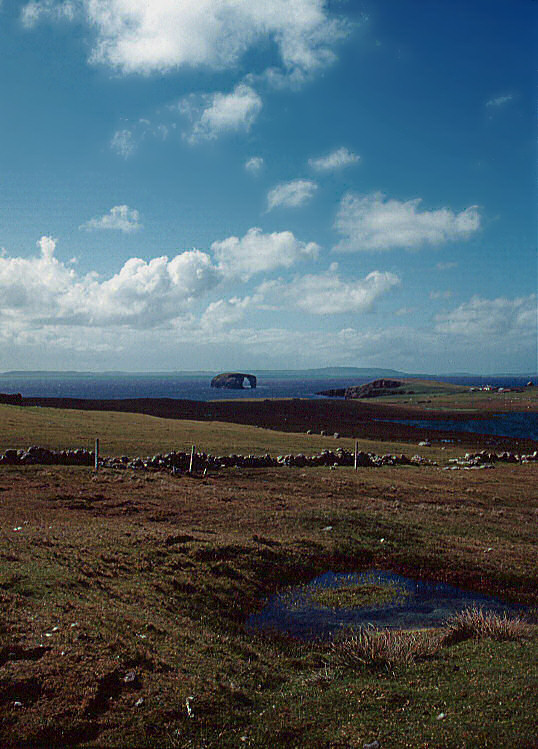 Dore Holm