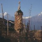 Dorf am Annapurna-Treck gelegen