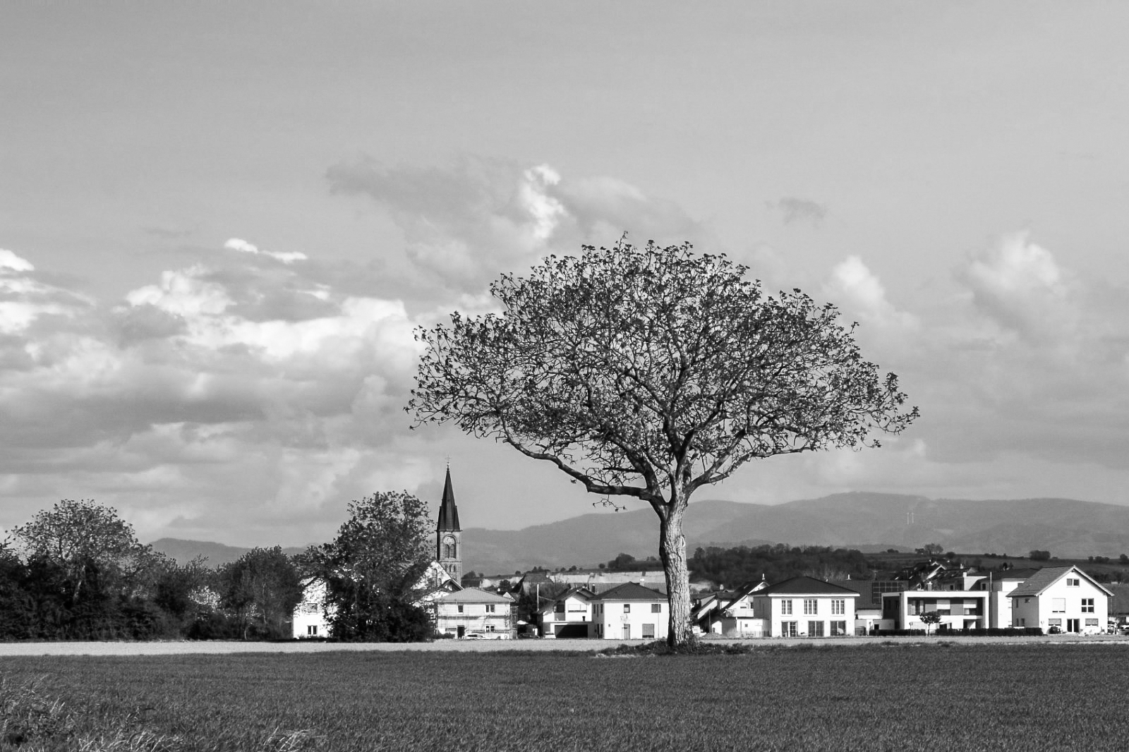 Dorf am Kaiserstuhl 