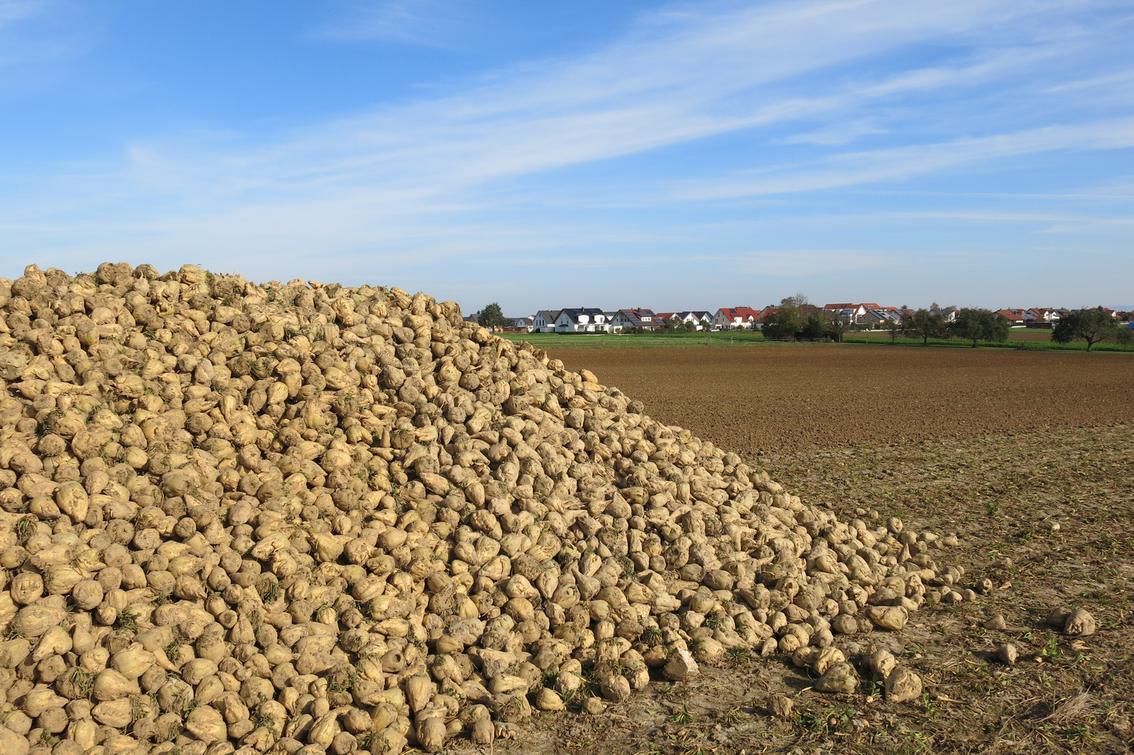 Dorf am Rübenberge