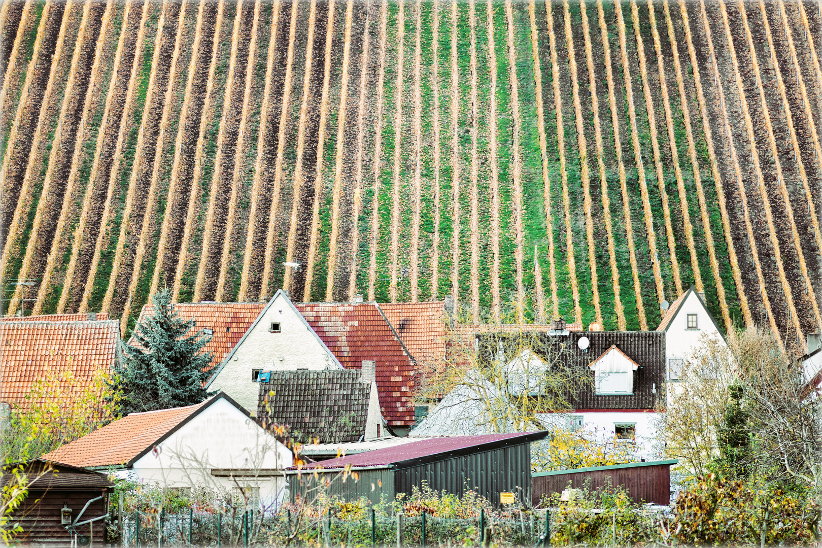 Dorf am Weinberg