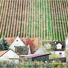 Dorf am Weinberg