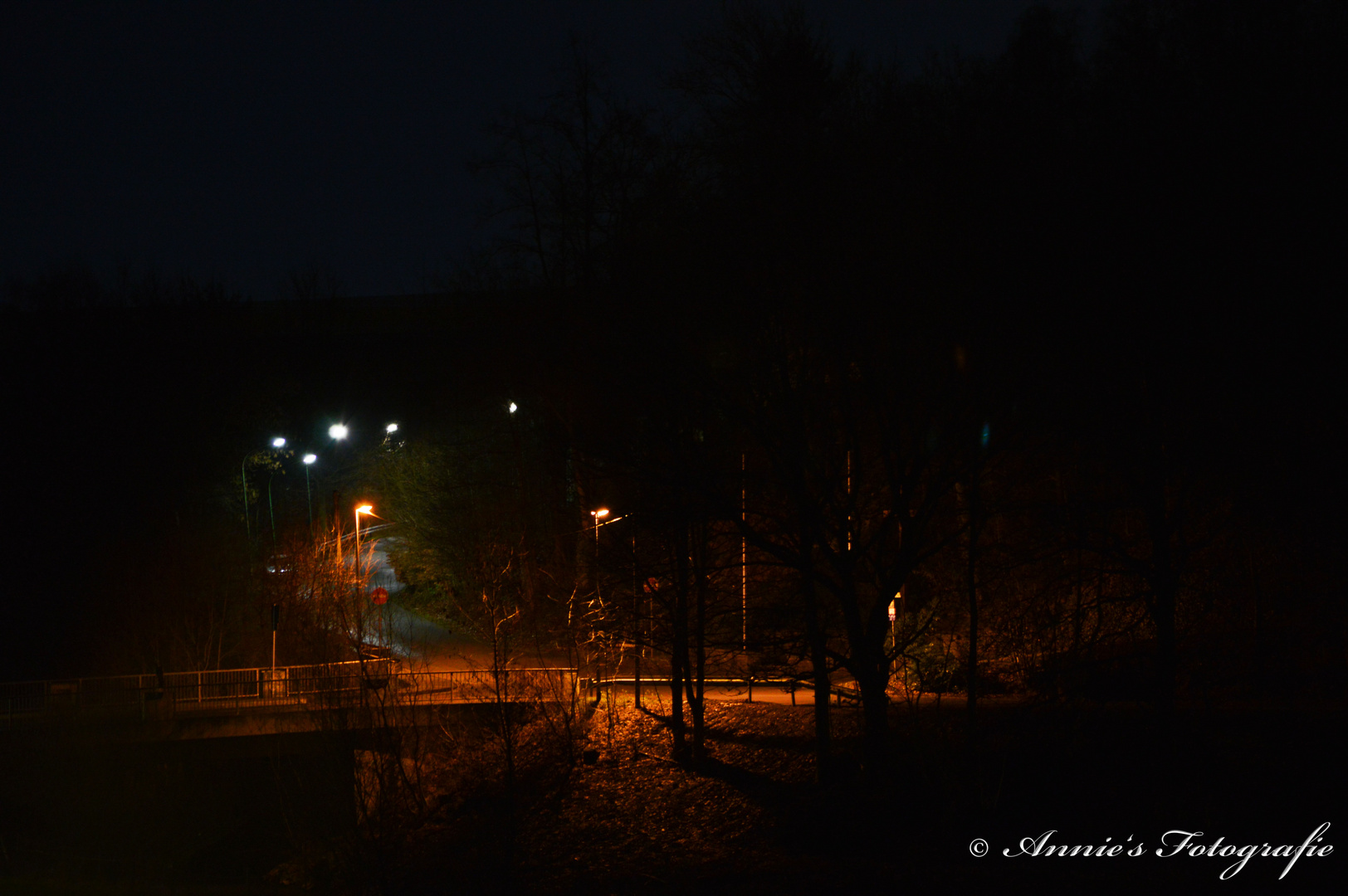 Dorf Ein,- und Ausfahrt bei Nacht