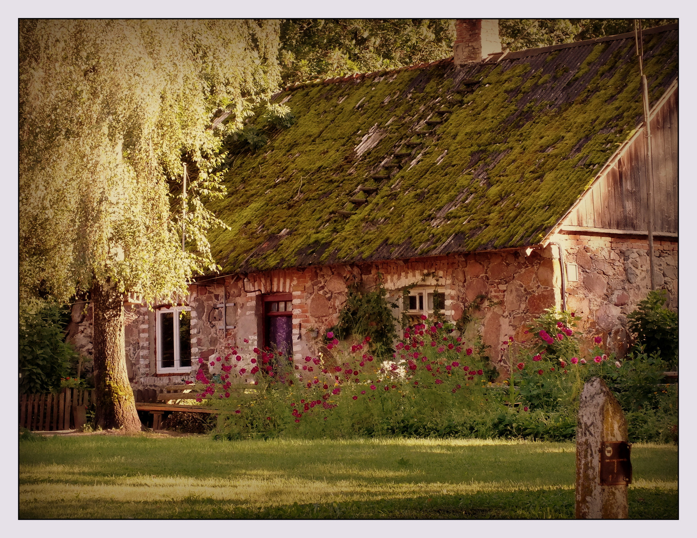 Dorf-Idylle in Lettland 1