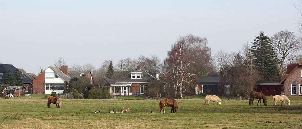 Dorf-Idylle in Petkum