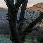 Dorf im Abendlicht (1)