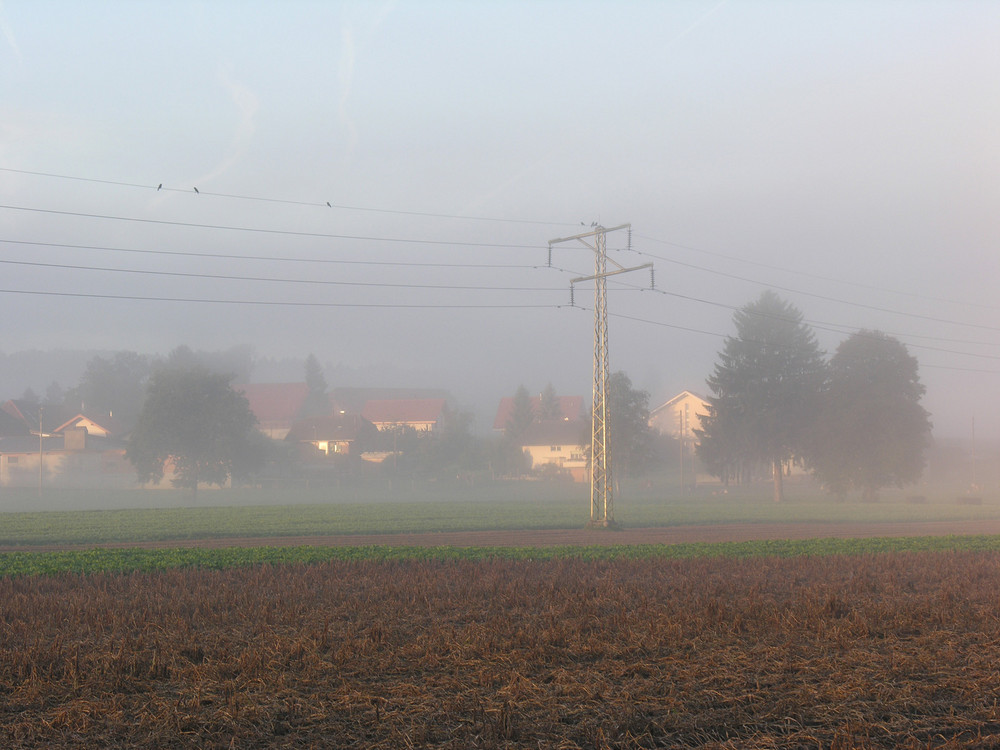 Dorf im Morgennebel