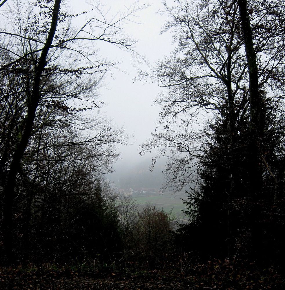 Dorf im Nebel