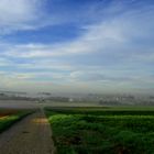 Dorf im Nebel