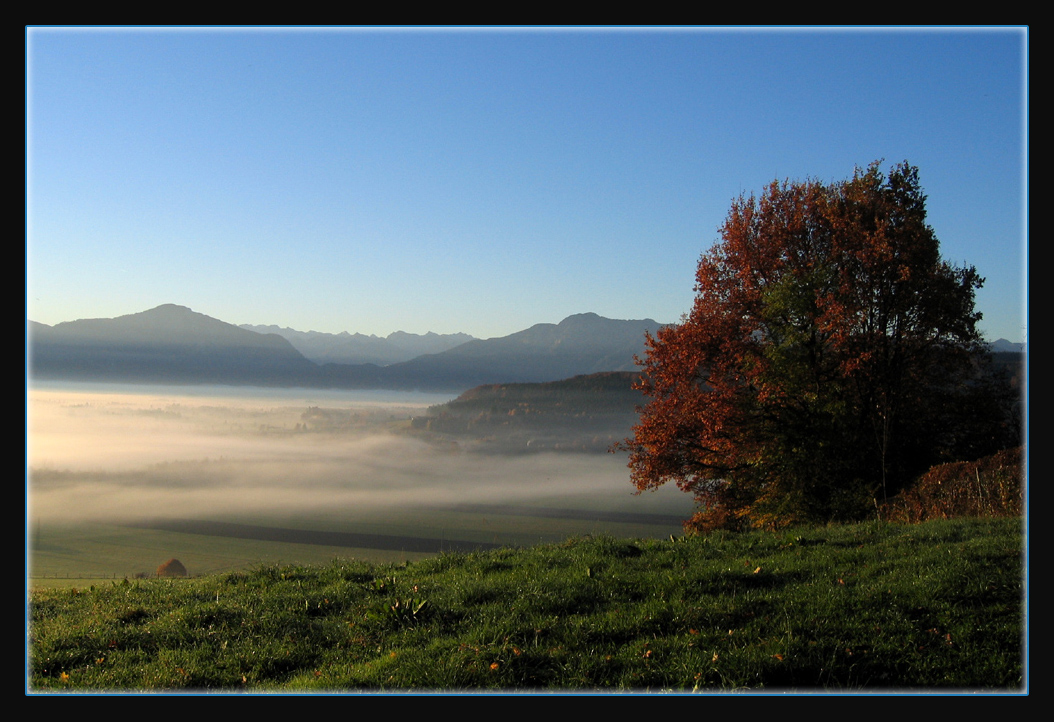 Dorf im Nebel