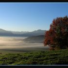 Dorf im Nebel