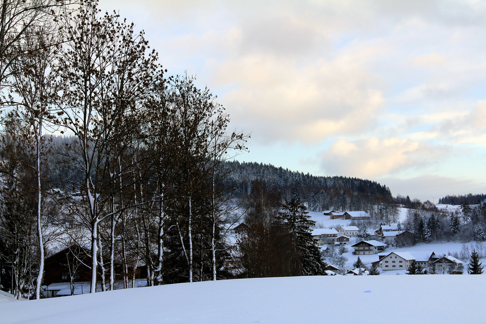 Dorf im Schnee