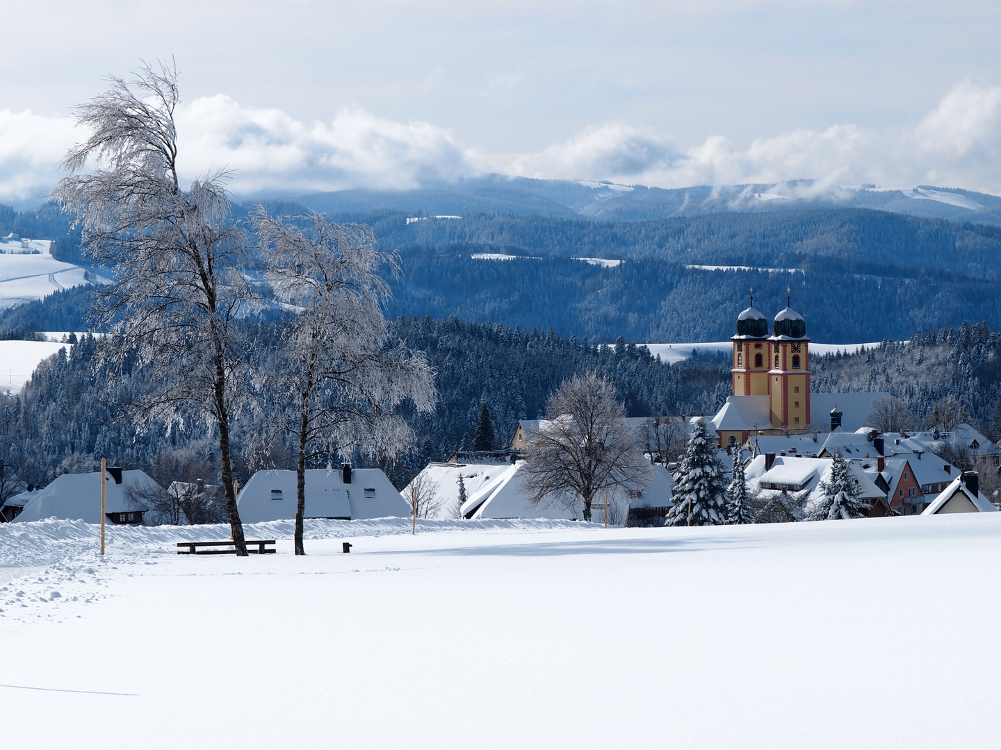 Dorf im Winter