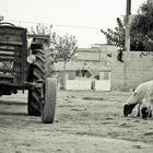 Dorf in der Türkei