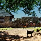 Dorf in Kenya