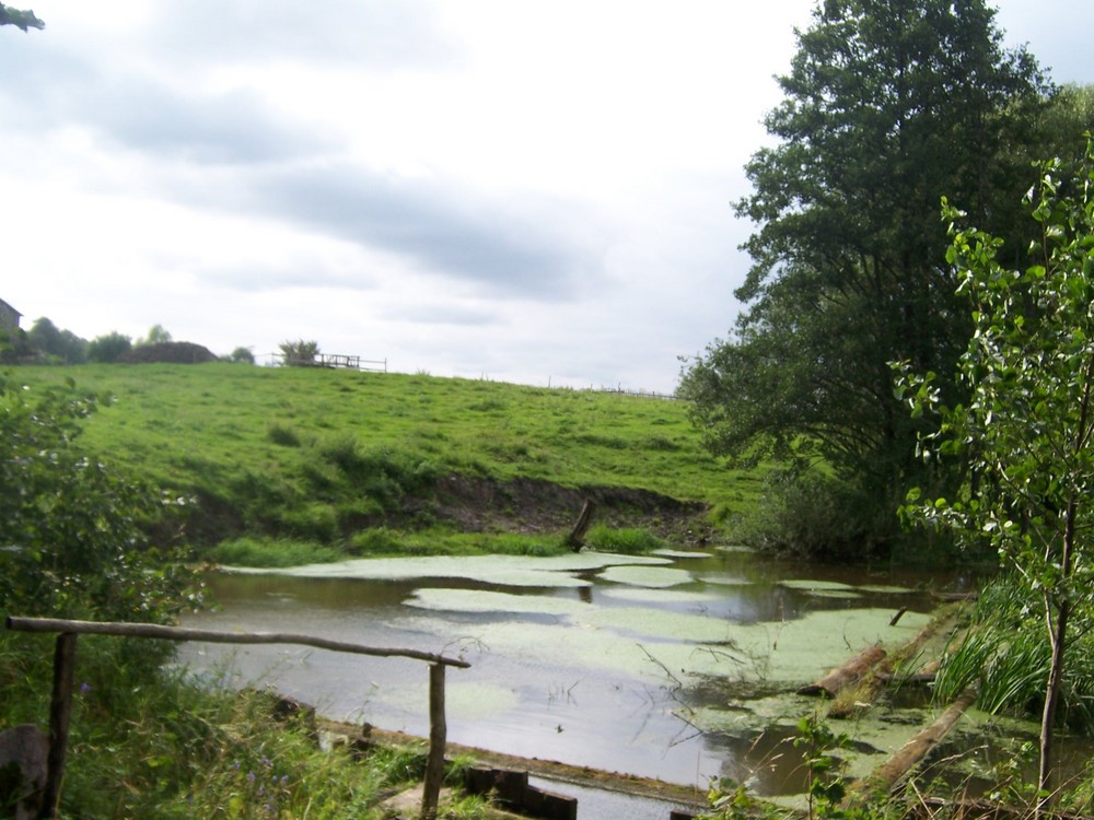 Dorf in Masuren - Nachmittag