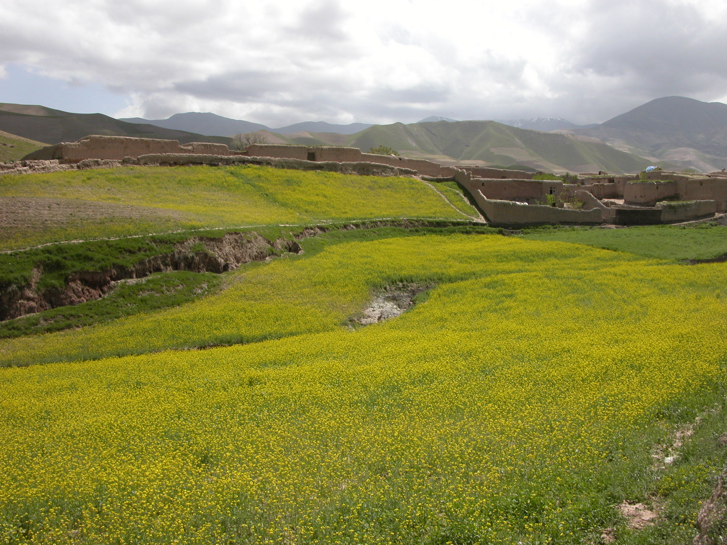 Dorf in Nordafghanistan