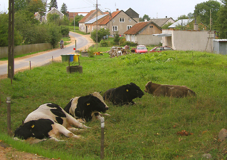 Dorf in Nordpolen