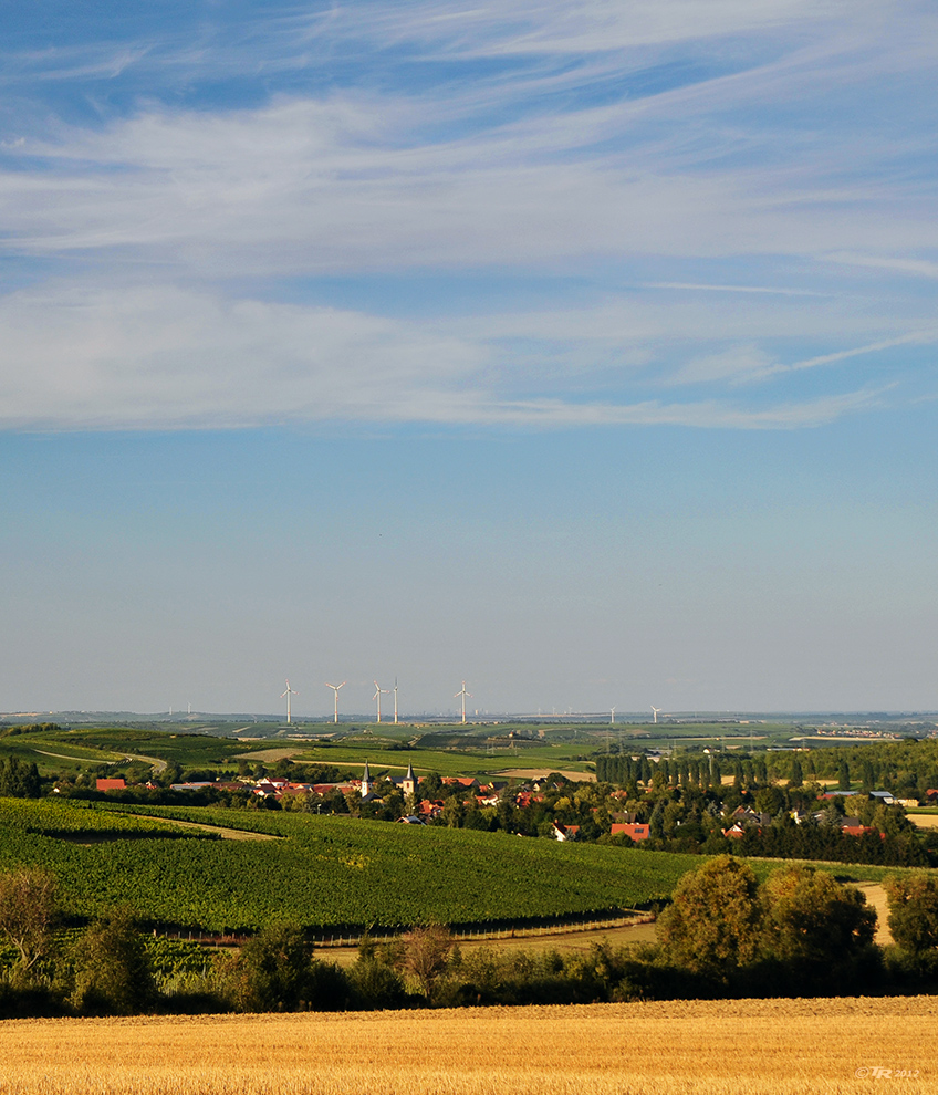 Dorf in Rheinhessen