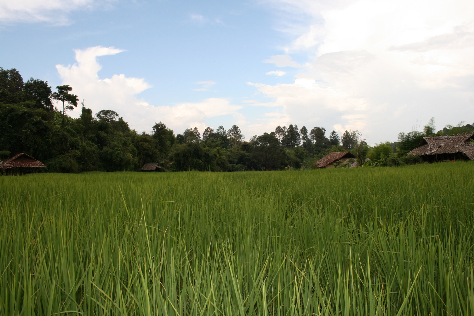 Dorf nahe Chiang Mai