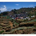 Dorf zwischen Dieng und Wonosobo