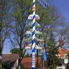 Dorfansicht mit Maibaum