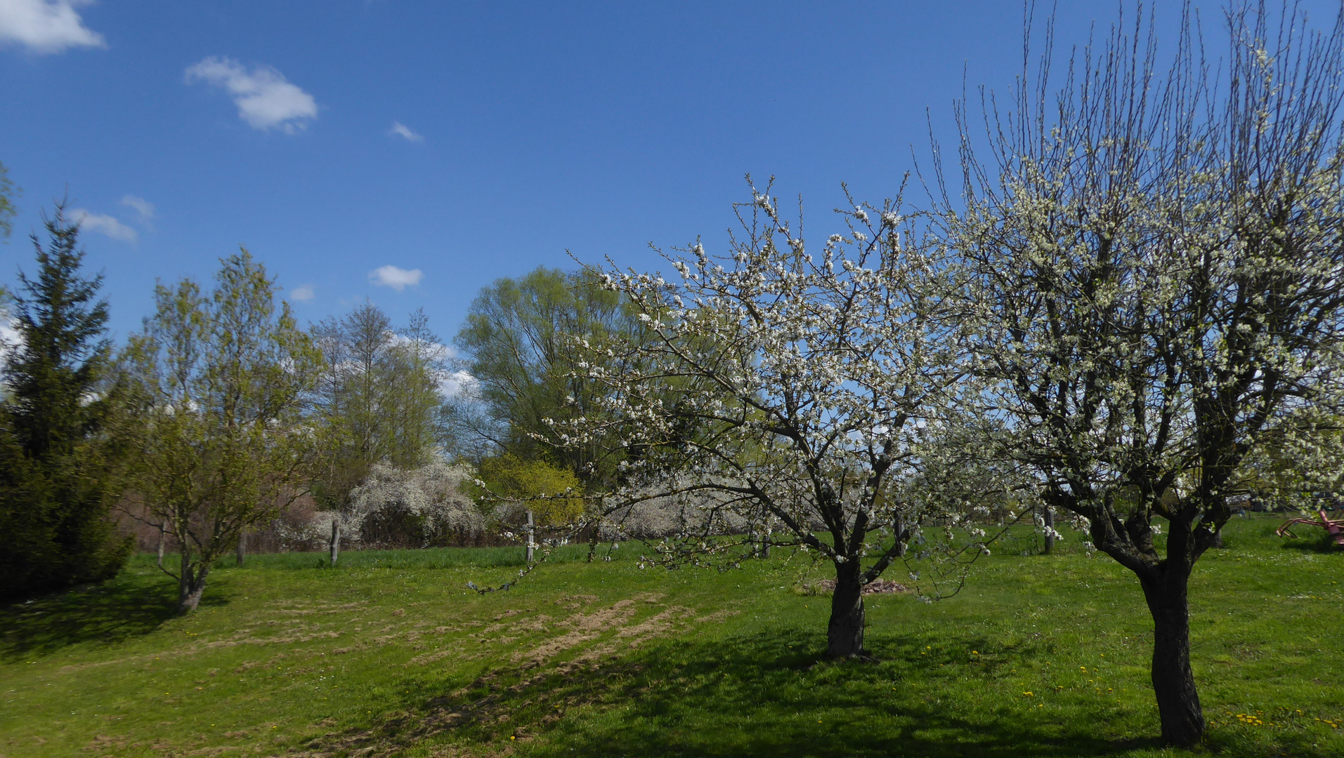 Dorfansichten - der Obstgarten