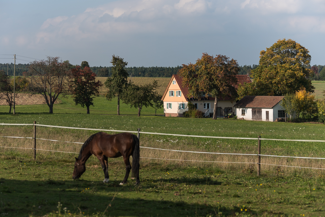 Dorfansichten mit Pferd