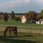 Dorfansichten mit Pferd