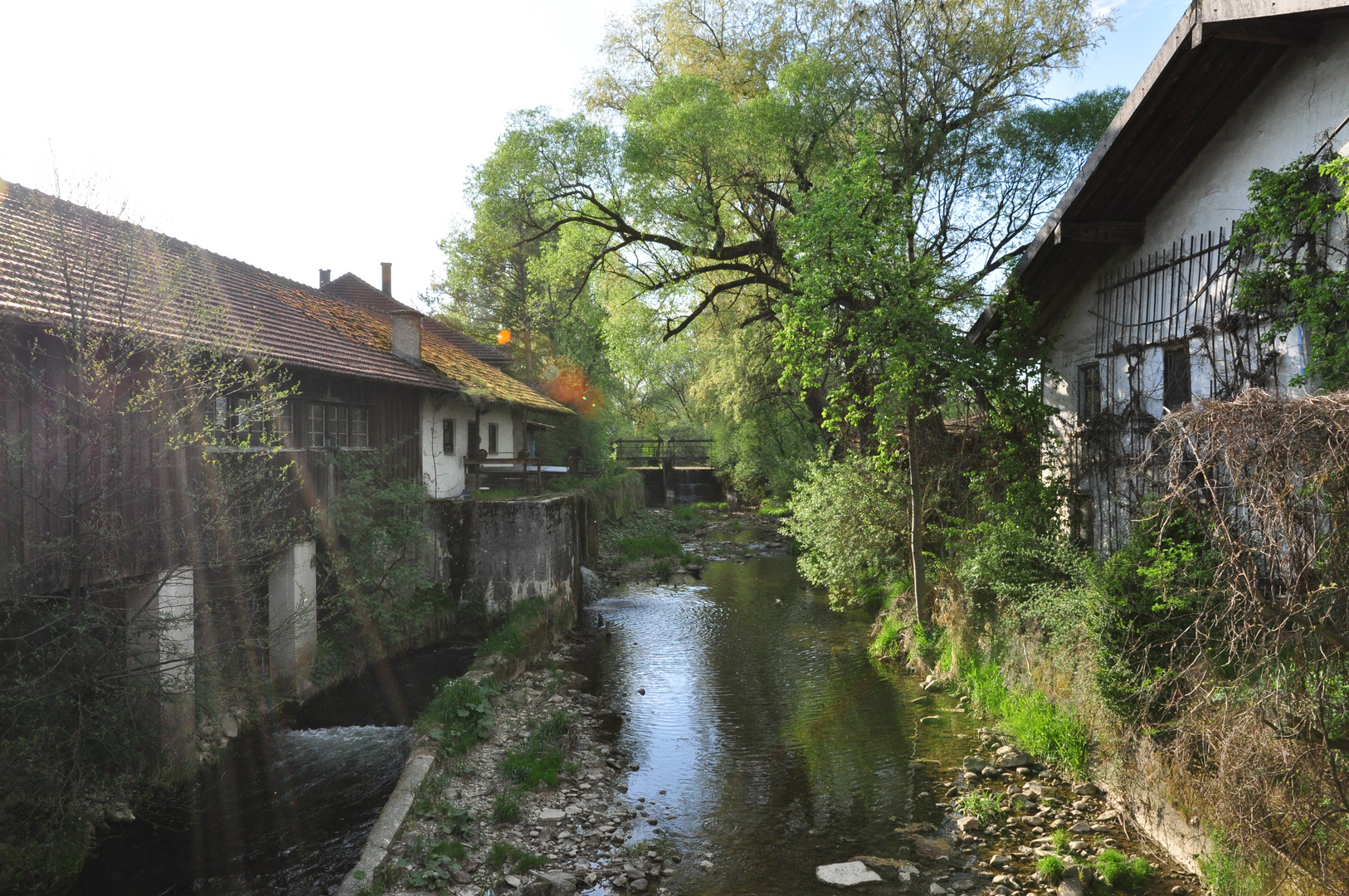 Dorfbach in Teisendorf