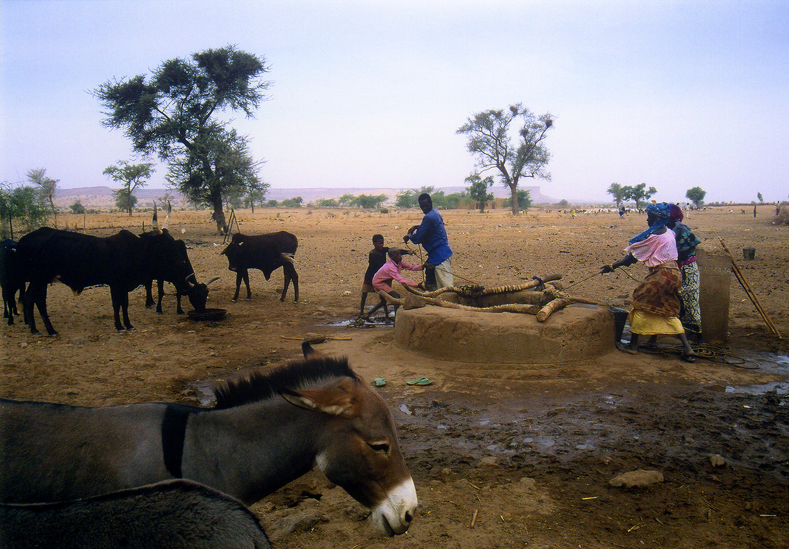 dorfbrunnen im niger