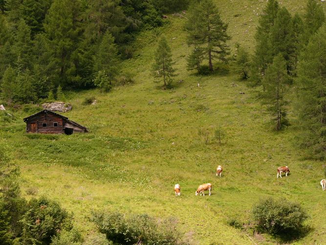 Dorfertal - Osttirol