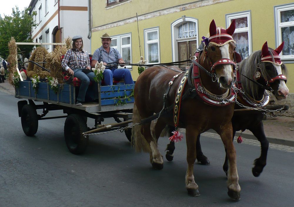 Dorffest Foto & Bild deutschland, europe, thüringen Bilder auf