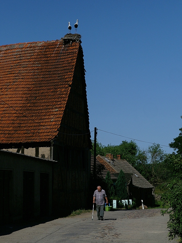 Dorfidyll in Werben / Elbe