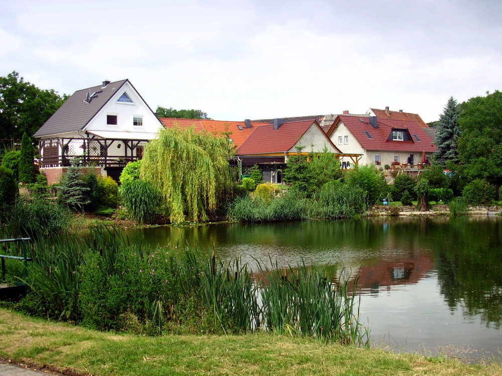 Dorfidylle am Teich