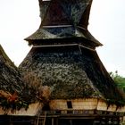 Dorfidylle bei den Karo Batak