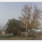 Dorfidylle im Nebel